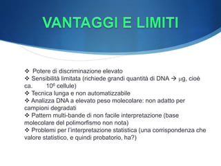  Potere di discriminazione elevato
 Sensibilità limitata (richiede grandi quantità di DNA  mg, cioè
ca. 106 cellule)
 Tecnica lunga e non automatizzabile
 Analizza DNA a elevato peso molecolare: non adatto per
campioni degradati
 Pattern multi-bande di non facile interpretazione (base
molecolare del polimorfismo non nota)
 Problemi per l’interpretazione statistica (una corrispondenza che
valore statistico, e quindi probatorio, ha?)
 