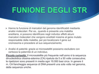 Piccola curiosità: Il microsatellite più frequente nell’uomo è la sequenza
dinucleotidica citosina-adenina (CA) ripetuta da 5 a 50 volte consecutive;
le ripetizioni sono presenti in media ogni 10.000 basi circa. In genere il
m. CA fiancheggia sequenze di DNA presenti una sola volta nel genoma,
dette sequenze uniche.
 Hanno la funzione di marcatori del genoma identificabili mediante
analisi molecolari. Per es., quando è presente una malattia
ereditaria, si possono identificare negli individui affetti alcuni
marcatori molecolari che vengono ereditati insieme al gene mutato
responsabile della malattia, per poi localizzare il gene sul
cromosoma e procedere al suo sequenziamento;
 Analisi di paterità: grazie ai microsatelliti possiamo escludere con
certezza la paternità di un individuo.
 