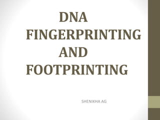 DNA
FINGERPRINTING
AND
FOOTPRINTING
SHENIKHA AG
 