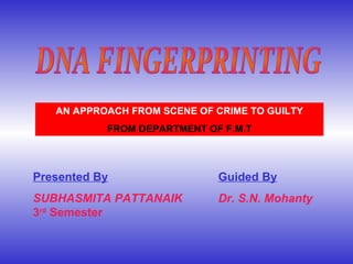 DNA FINGERPRINTING AN APPROACH FROM SCENE OF CRIME TO GUILTY FROM DEPARTMENT OF F.M.T Presented By SUBHASMITA PATTANAIK 3 rd  Semester   Guided By Dr. S.N. Mohanty 