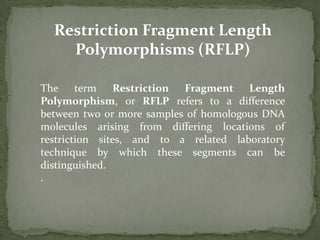 Commonly pronounced “rif-lip”. 