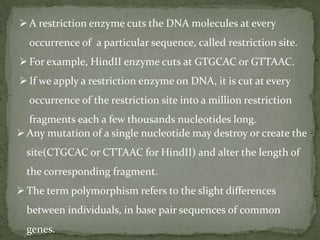 It is  an important tool in genome mapping.