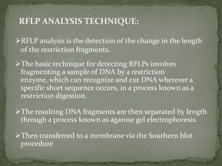 Localization of genes for genetic disorders.
