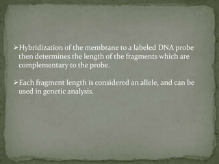 Determination of risk for disease, and paternity testingA restriction enzyme cuts the DNA molecules at every occurrence of  a particular sequence, called restriction site.