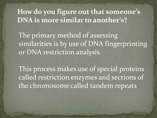 How do you figure out that someone’s DNA is more similar to another’s?The primary method of assessing similarities is by use of DNA fingerprinting or DNA restriction analysis.This process makes use of special proteins called restriction enzymes and sections of the chromosome called tandem repeats