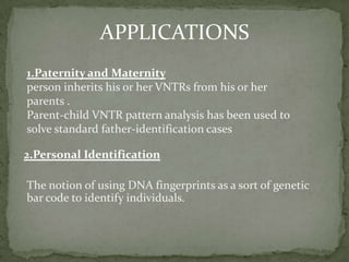 Stages of DNA Profiling The sections of DNA that are cut out are called restriction fragments. This yields thousands of restriction fragments of all different sizes because the base sequences being cut may be far apart (long fragment) or close together (short fragment).