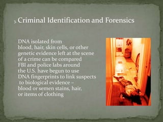 Stages of DNA Profiling Stage 3:Fragments are separated on the basis of size using a process called gel electrophoresis.