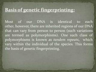 Tandem repeatsIn a Eukaryotic genome, Tandem repeats are an array of consecutive repeats, known as satellites.     They are of three types based on migration when centrifuged in CsCl density gradient.Satellites.Minisatellites.Microsatellites.