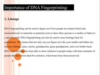 2. DNA CUTTING3. FRAGMENT SEPARATIONDNA  FINGERPRINTINGThe  samples containing the fragments are pipetted into individual wells in a gel