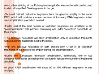 Gel, with filter paper attached, is removed & separatedDNA  FINGERPRINTING