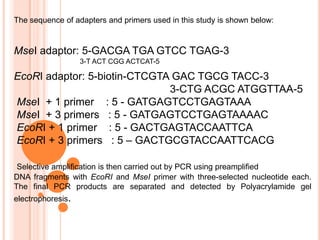 5. AnalysisRadioactive probe in solution binds to  DNARevealing a pattern of bandsX-ray film