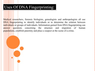 Restriction Fragment Length Polymorphism (RFLP)DNA  FINGERPRINTING( DNA  PROFILING )