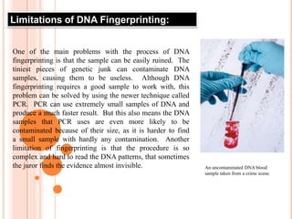VNTRScientists can look at 4-6 different STR’s in the same person  The more STR’s identified the higher the probability of a match 