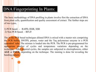 VNTR is more commonly used than RFLPAdvantages of VNTR   Less complex patterns in gel 