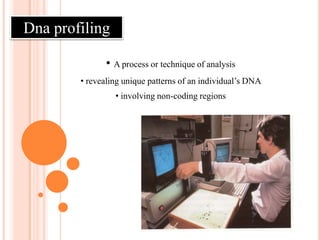 1984-  Professor Alec Jeffreys developed the process of  DNA profiling