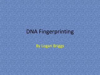 DNA Fingerprinting

   By Logan Briggs
 