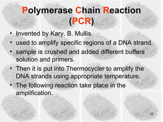 Polymerase Chain Reaction
             (PCR)
• Invented by Kary. B. Mullis.
• used to amplify specific regions of a DNA strand.
• sample is crushed and added different buffers
  solution and primers.
• Then it is put into Thermocycler to amplify the
  DNA strands using appropriate temperature.
• The following reaction take place in the
  amplification.


                                                 10
 