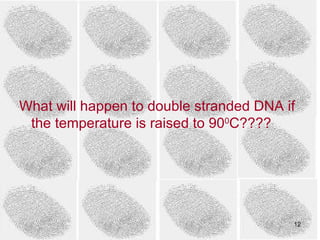 What will happen to double stranded DNA if
 the temperature is raised to 900C????




                                         12
 