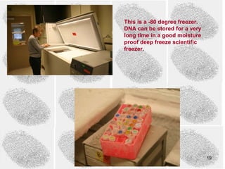 This is a -80 degree freezer.
DNA can be stored for a very
long time in a good moisture
proof deep freeze scientific
freezer.




                                19
 