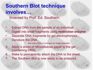 Southern Blot technique
involves…
     Invented by Prof. Ed. Southern.

•     Extract DNA from the sample of an individual
•     Digest into small fragments using restriction enzyme
•     Separate DNA fragments by gel electrophoresis.
•     Denature the DNA,
              •   the entire DNA is changed as single-stranded.
5.    Apply a sheet of nitrocellulose paper to the gel
      (containing DNA).
6.    Make to permanently attach the DNA to the sheet.
7.    The Southern Blot is now ready to be analyzed.

                                                                  5
 