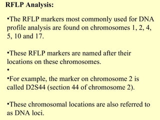 Dna fingerprinting | PPT