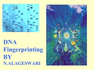 DNA
Fingerprinting
BY
N.ALAGESWARI
 