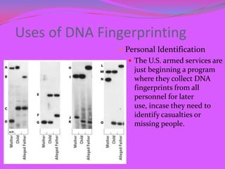 Uses of DNA Fingerprinting
                Personal Identification
                   The U.S. armed services are
      ...