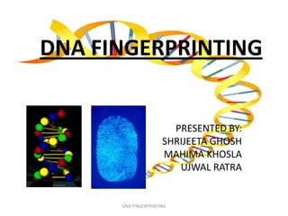 DNA FINGERPRINTING


                        PRESENTED BY:
                      SHRIJEETA GHOSH
                      MAHIMA KHOSLA
                         UJWAL RATRA


      DNA FINGERPRINTING
 