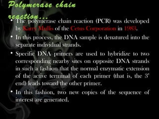 Polymerase chain
reaction… chain reaction (PCR) was developed
• The polymerase
by Karry Mullis of the Cetus Corporation in 1983.
• In this process, the DNA sample is denatured into the
separate individual strands.
• Specific DNA primers are used to hybridize to two
corresponding nearby sites on opposite DNA strands
in such a fashion that the normal enzymatic extension
of the active terminal of each primer (that is, the 3’
end) leads toward the other primer.
• In this fashion, two new copies of the sequence of
interest are generated.

 