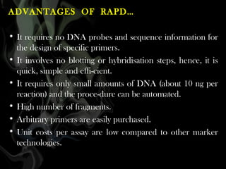 ADVANTAGES OF RAPD…
• It requires no DNA probes and sequence information for
the design of specific primers.
• It involves no blotting or hybridisation steps, hence, it is
quick, simple and effi-cient.
• It requires only small amounts of DNA (about 10 ng per
reaction) and the proce-dure can be automated.
• High number of fragments.
• Arbitrary primers are easily purchased.
• Unit costs per assay are low compared to other marker
technologies.

 