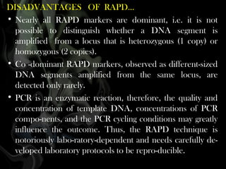 DISADVANTAGES OF RAPD…
• Nearly all RAPD markers are dominant, i.e. it is not
possible to distinguish whether a DNA segment is
amplified from a locus that is heterozygous (1 copy) or
homozygous (2 copies).
• Co -dominant RAPD markers, observed as different-sized
DNA segments amplified from the same locus, are
detected only rarely.
• PCR is an enzymatic reaction, therefore, the quality and
concentration of template DNA, concentrations of PCR
compo-nents, and the PCR cycling conditions may greatly
influence the outcome. Thus, the RAPD technique is
notoriously labo-ratory-dependent and needs carefully developed laboratory protocols to be repro-ducible.

 