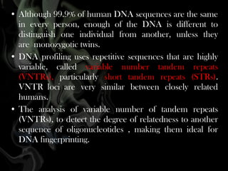 • Although 99.9% of human DNA sequences are the same
in every person, enough of the DNA is different to
distinguish one individual from another, unless they
are monozygotic twins. 
• DNA profiling uses repetitive sequences that are highly
variable, called variable number tandem repeats
(VNTRs), particularly short tandem repeats (STRs).
VNTR loci are very similar between closely related
humans.
• The analysis of variable number of tandem repeats
(VNTRs), to detect the degree of relatedness to another
sequence of oligonucleotides , making them ideal for
DNA fingerprinting.

 