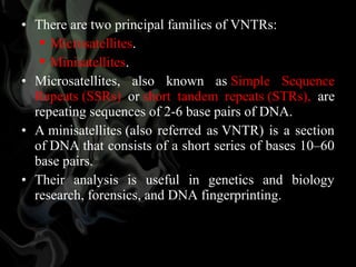 • There are two principal families of VNTRs: 
 Microsatellites.
 Minisatellites.
• Microsatellites,  also  known  as Simple  Sequence 
Repeats (SSRs)  or short  tandem  repeats (STRs),  are 
repeating sequences of 2-6 base pairs of DNA.
• A minisatellites (also  referred  as VNTR)  is  a  section 
of DNA that consists of a short series of bases 10–60 
base pairs.
• Their  analysis  is  useful  in  genetics  and  biology 
research, forensics, and DNA fingerprinting.

 