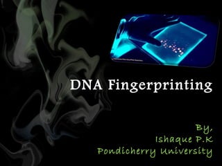 DNA Fingerprinting
By,
Ishaque P.K
Pondicherry University

 