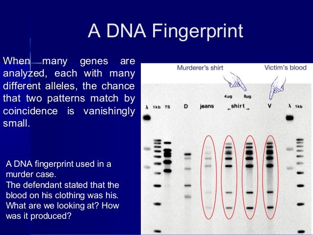 Dna fingerprinting activity pdf download