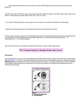 - Gel electrophoresis determine the numbers and sizes of DNA fragments procuduced by restriction enzyme
treatment
* If DNA is too small, the PCR is used to increase the quantity of DNA for analysis. The PCR makes many copies of the
DNA in a small sample. Example; blood, saliva, hair, urine, or muscle.
2. The value of PCR (polymerase chain reaction) is that it makes many copies of the DNA in a small sample.
3. Restriction enzymes are taken from bacteria that use them to stop infection by viruses.
4. DNA probes are known sequences of DNA that will bind to their coomplementary DNA sequences wherever they are.
It's used with the specific sequence that to the DNA fragement on a membrane with another sequence. 5'-
TATATAGCTC-3' ---> 3'-ATATATCGAG-5'
5.ID criminals, ID remains, and genetic disorders are examples of uses of DNA fingerprinting
Introduction
Like the fingerprints that came into use by detectives and police labs during the 1930s, each person has a unique DNA
fingerprint (Figure 1). Unlike a conventional fingerprint that occurs only on the fingertips and can be altered by surgery, a
DNA fingerprint is the same for every cell, tissue, and organ of a person. It cannot be altered by any known treatment.
Consequently, DNA fingerprinting is rapidly becoming the primary method for identifying and distinguishing among
individual human beings.
 