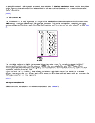 An additional benefit of DNA fingerprint technology is the diagnosis of inherited disorders in adults, children, and unborn
babies. Even bloodstained clothing from Abraham Lincoln has been analyzed for evidence of a genetic disorder called
Marfan's Syndrome.
[Topics]
The Structure of DNA
The characteristics of all living organisms, including humans, are essentially determined by information contained within
DNA that they inherit from their parents. The molecular structure of DNA can be imagined as a zipper with each tooth
represented by one of four letters (A, C, G, or T) and with opposite teeth forming one of two pairs, either AT or GC (Figure
2).
The information contained in DNA is the sequence of letters along the zipper. For example, the sequence ACGCT
represents different information than the sequence AGTCC in the same way that the word "POST" has a different
meaning from "STOP" or "POTS," even though they use the same letters. The traits of a human being are the result of
information contained in the DNA code.
Living organisms that look different or have different characteristics also have different DNA sequences. The more
different the organisms, the more different are the DNA sequences. DNA fingerprinting is a very quick way to compare the
DNA sequences of any two living organisms.
[Topics]
Making DNA Fingerprints
DNA fingerprinting is a laboratory procedure that requires six steps (Figure 3):
 