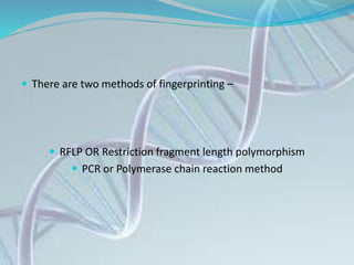  There are two methods of fingerprinting –
 RFLP OR Restriction fragment length polymorphism
 PCR or Polymerase chain reaction method
 
