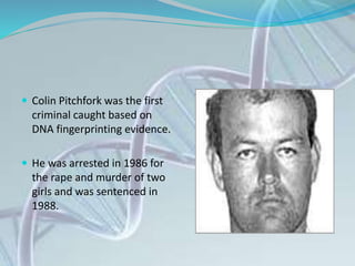  Colin Pitchfork was the first
criminal caught based on
DNA fingerprinting evidence.
 He was arrested in 1986 for
the rape and murder of two
girls and was sentenced in
1988.
 