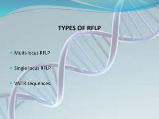 TYPES OF RFLP
 Multi-locus RFLP
 Single locus RFLP
 VNTR sequences.
 