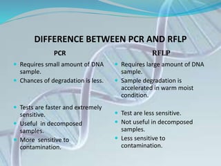 DIFFERENCE BETWEEN PCR AND RFLP
PCR RFLP
 Requires small amount of DNA
sample.
 Chances of degradation is less.
 Tests are faster and extremely
sensitive.
 Useful in decomposed
samples.
 More sensitive to
contamination.
 Requires large amount of DNA
sample.
 Sample degradation is
accelerated in warm moist
condition.
 Test are less sensitive.
 Not useful in decomposed
samples.
 Less sensitive to
contamination.
 