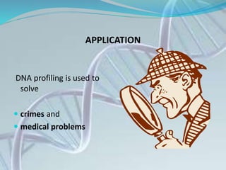 APPLICATION
DNA profiling is used to
solve
 crimes and
 medical problems
 