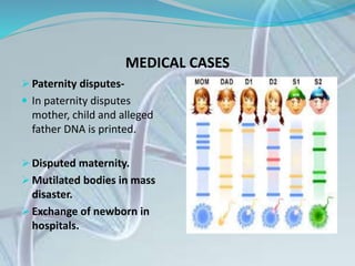 MEDICAL CASES
 Paternity disputes-
 In paternity disputes
mother, child and alleged
father DNA is printed.
 Disputed maternity.
 Mutilated bodies in mass
disaster.
 Exchange of newborn in
hospitals.
 