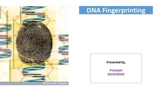 DNA Fingerprinting
Presented by,
P.Jayapal
2015670505
 