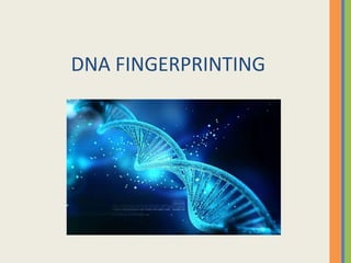 DNA FINGERPRINTING
 