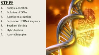 Dna finger printing | PPTX