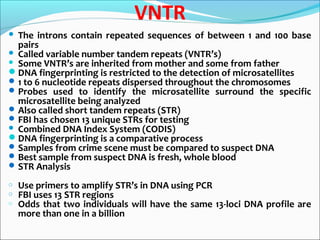 VNTR
 The introns contain repeated sequences of between 1 and 100 base
pairs
 Called variable number tandem repeats (VNTR’s)
 Some VNTR’s are inherited from mother and some from father
DNA fingerprinting is restricted to the detection of microsatellites
1 to 6 nucleotide repeats dispersed throughout the chromosomes
Probes used to identify the microsatellite surround the specific
microsatellite being analyzed
Also called short tandem repeats (STR)
FBI has chosen 13 unique STRs for testing
 Combined DNA Index System (CODIS)
DNA fingerprinting is a comparative process
Samples from crime scene must be compared to suspect DNA
Best sample from suspect DNA is fresh, whole blood
STR Analysis
o Use primers to amplify STR’s in DNA using PCR
o FBI uses 13 STR regions
o Odds that two individuals will have the same 13-loci DNA profile are
more than one in a billion
 