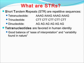 What are STRs?
Short Tandem Repeats (STR) are repetitive sequences:
Tetranucleotide: AAAG AAAG AAAG AAAG
Trinucleotide: CTT CTT CTT CTT CTT
Dinucleotide: AG AG AG AG AG AG
Tetranucleotides are favored in human identity
Good balance of “ease of interpretation” and “variability
found in nature”
 