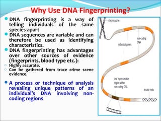 Why Use DNA Fingerprinting?
DNA fingerprinting is a way of
telling individuals of the same
species apart
DNA sequences are variable and can
therefore be used as identifying
characteristics.
DNA fingerprinting has advantages
over other sources of evidence
(fingerprints, blood type etc.):
o Highly accurate.
o Can be gathered from trace crime scene
evidence.
A process or technique of analysis
revealing unique patterns of an
individual’s DNA involving non-
coding regions
 