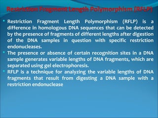  Restriction Fragment Length Polymorphism (RFLP) is a
difference in homologous DNA sequences that can be detected
by the presence of fragments of different lengths after digestion
of the DNA samples in question with specific restriction
endonucleases.
 The presence or absence of certain recognition sites in a DNA
sample generates variable lengths of DNA fragments, which are
separated using gel electrophoresis.
 RFLP is a technique for analyzing the variable lengths of DNA
fragments that result from digesting a DNA sample with a
restriction endonuclease
 